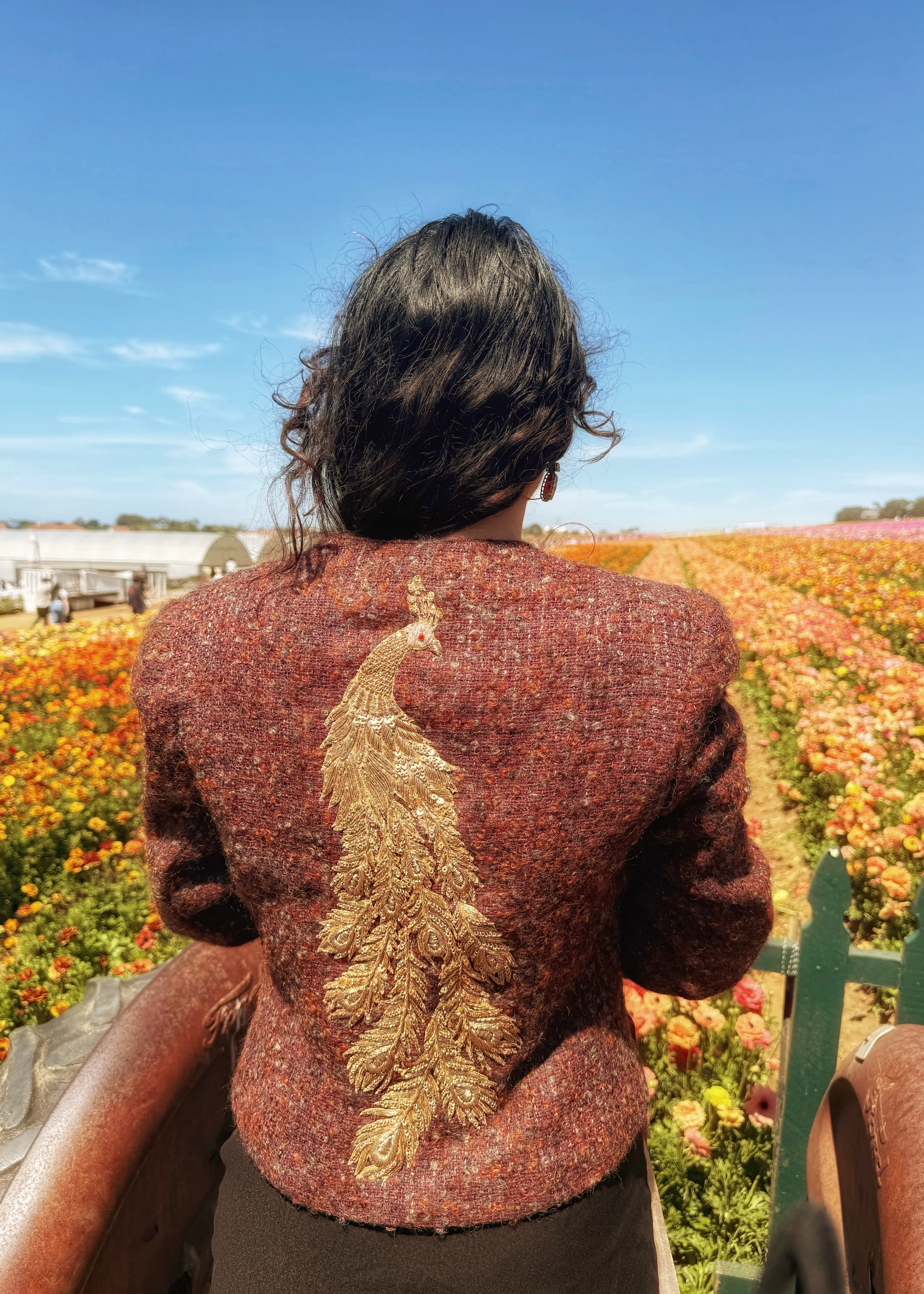 Peacock back